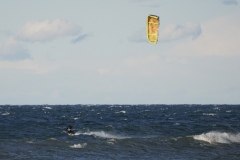 10.7.20 Montana Beach Kites
