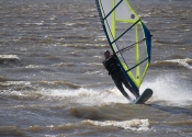 DSC_0498.jpg