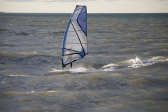 Montana Beach SUP/W'Surf