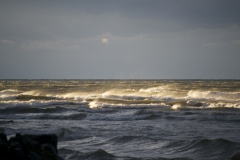 Webster Park 10.9.14